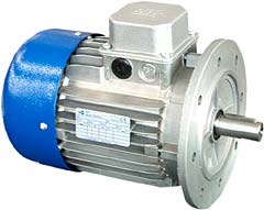 Electric Motor IEC Type MT B5 Flange style TN