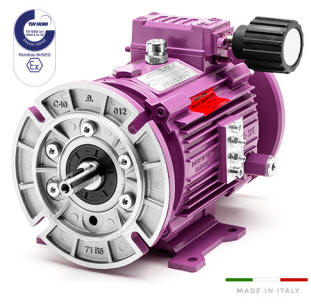 Atex Ex Variable Speed