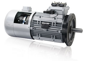 NERI Motor for Wind Turbine Application